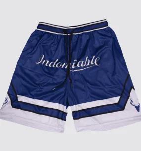 BreezyBall Dri-Fit Shorts (NAVY BLUE & WHITE)